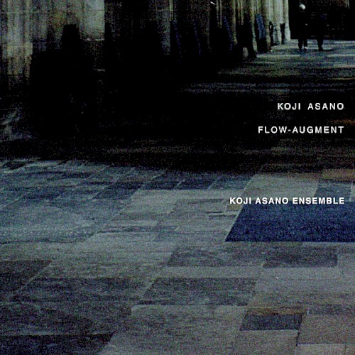 Flow-Augment