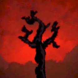 Terraria Overhaul Soundtrack