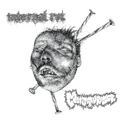 Moisturizer / Internal Rot