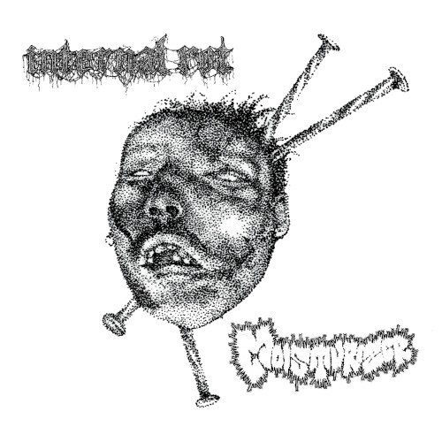 Moisturizer / Internal Rot