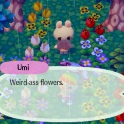 (๑△๑)