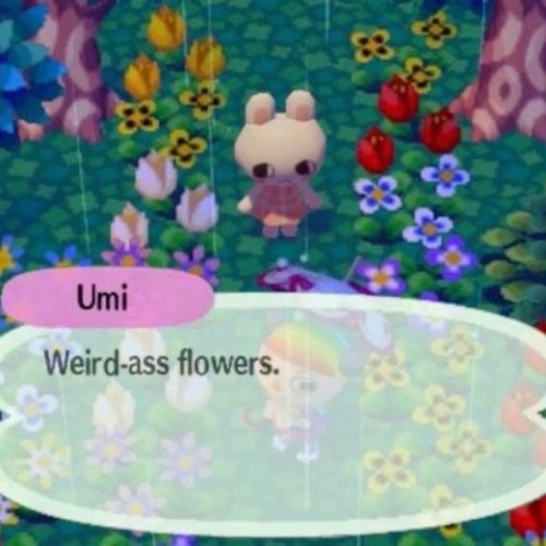 (๑△๑)