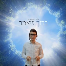 ברוך שאמר