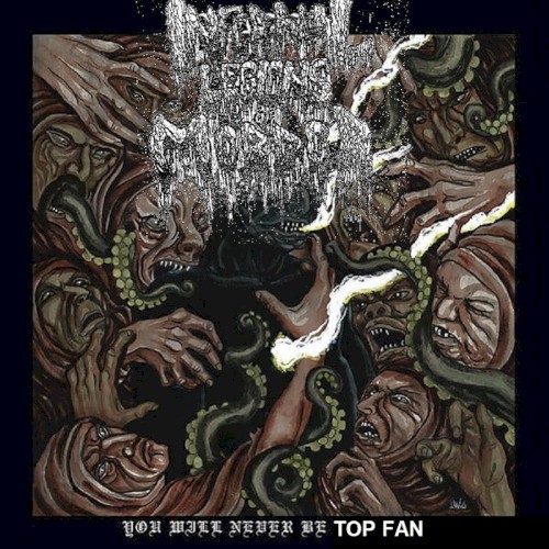 You Will Never Be Top Fan