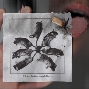 ratking