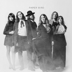 Paper Bird