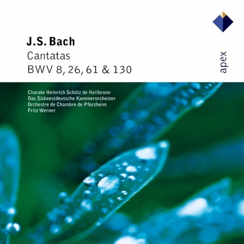 Cantatas, BWV nos. 8, 26, 61 & 130