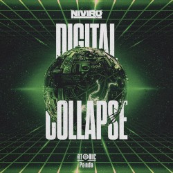 Digital Collapse