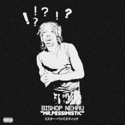 Mr.Pessimistic