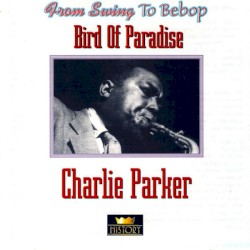 Bird of Paradise