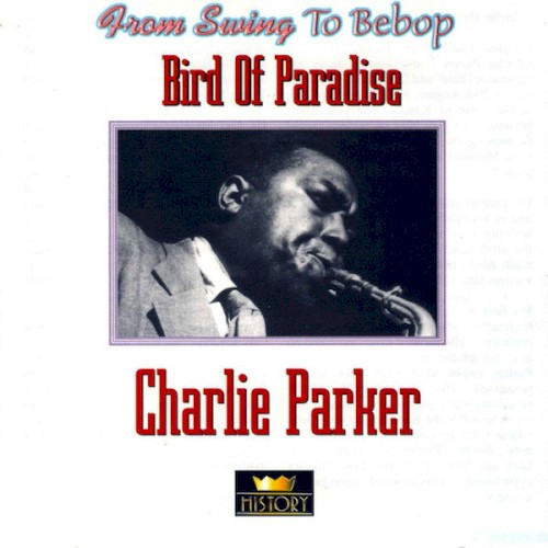 Bird of Paradise