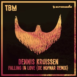 Falling in Love (De Hofnar remix)
