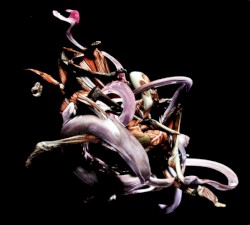 Mykki Blanco presents C-ORE