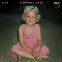 Redwood Tree