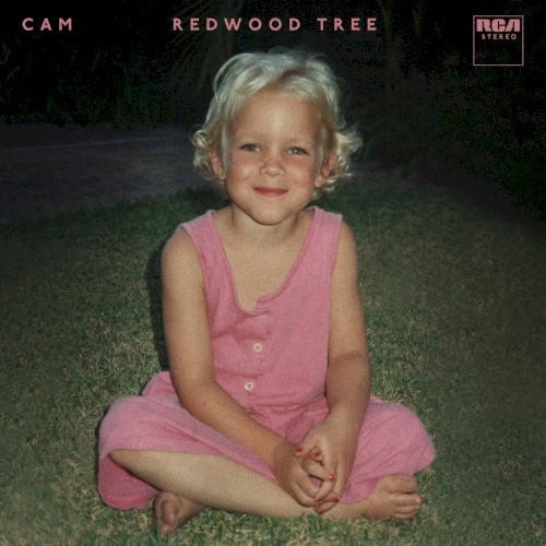 Redwood Tree