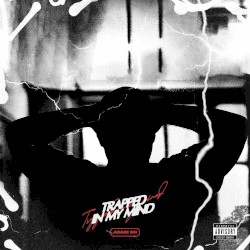 TRAPPED IN MY MIND
