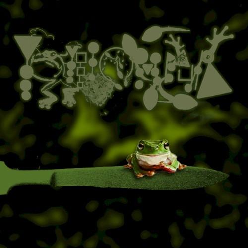 Amphibians Performing Surgery III: Murrexic Behaviour