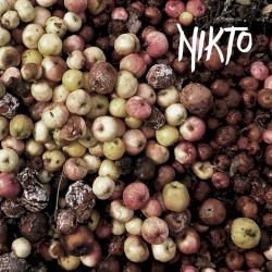 Nikto