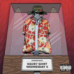 Wavey Shirt Wednesday 2