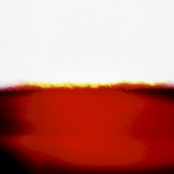 Up in Flames