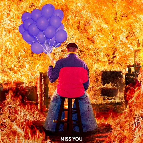 Miss You (Showtek remix)