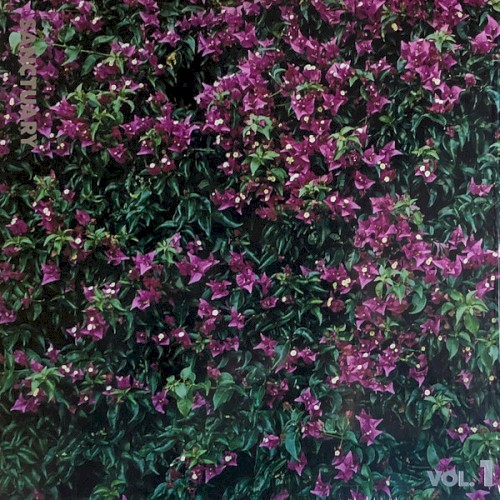 Sanctuary, Vol. 1: 78violet (The Unreleased Record)