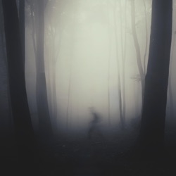 Traces