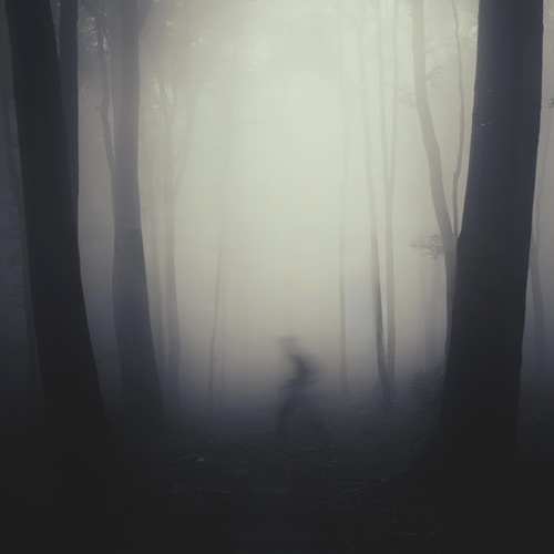 Traces