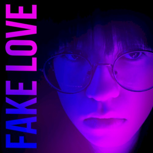 Fake Love