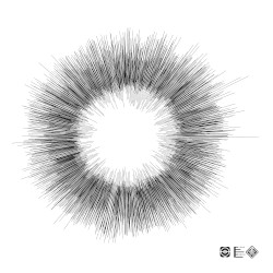 Violent Grains of Silence