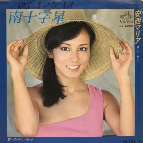 南十字星