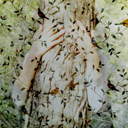 Shinrinyoku (森林浴)
