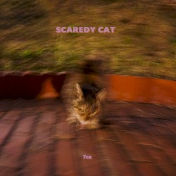 SCAREDY CAT