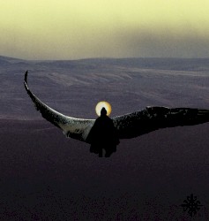 Dawn Of The Black Wings