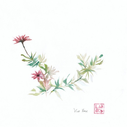 Viet Rose