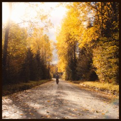 ..but the leaves they are changing