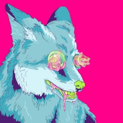 The Fox