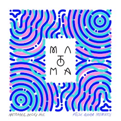 False Alarm (Remixes)