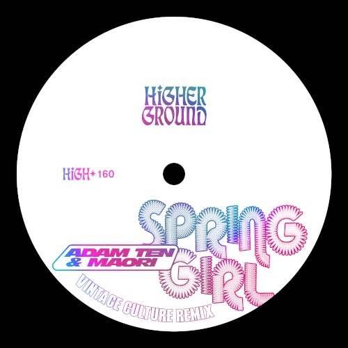 Spring Girl (Vintage Culture remix)