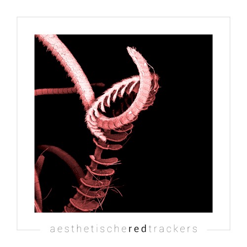 Red Trackers