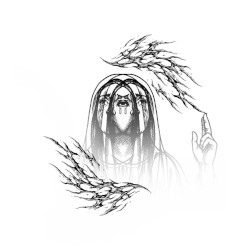 Myrce