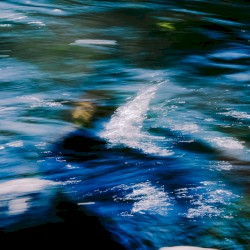 Waterline