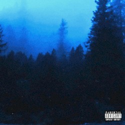 SOMEWHERE IN THE FOREST