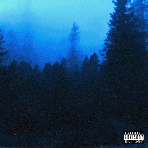 SOMEWHERE IN THE FOREST