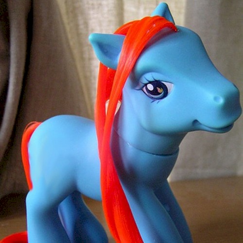 Pony