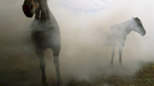 The Pale Horse