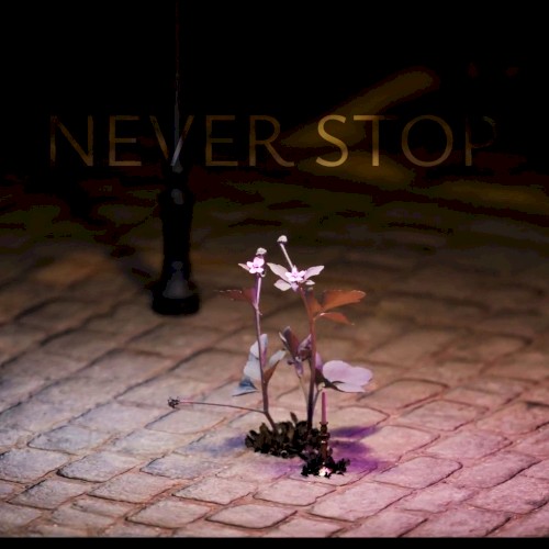 Never Stop