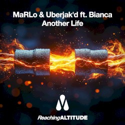 Another Life