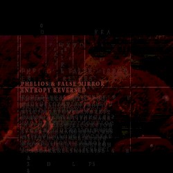 Entropy Reversed