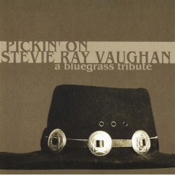 Pickin' on Stevie Ray Vaughn